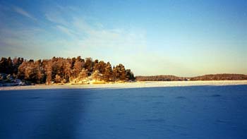 Skinnpälsudden 20030106